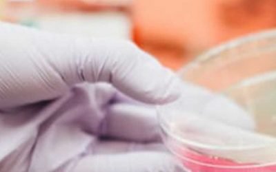 Διαχείριση Κρύας Αλυσίδας: Ένα Κρίσιμο Σημείο για τα Ευαίσθητα στη Θερμοκρασία Φάρμακα Κλινικών Δοκιμών