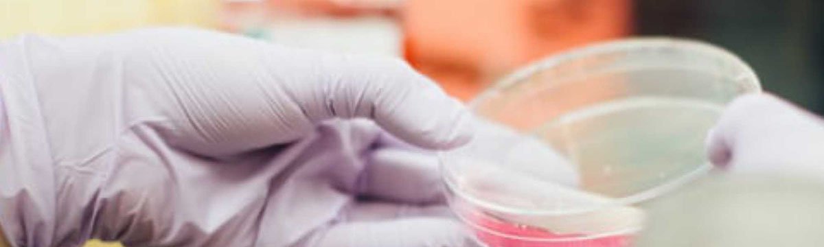 ΛΥΣΕΙΣ SENSITECH